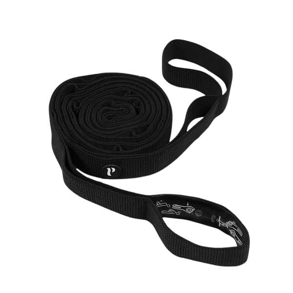 SVENSK POSTURE Mini Gym