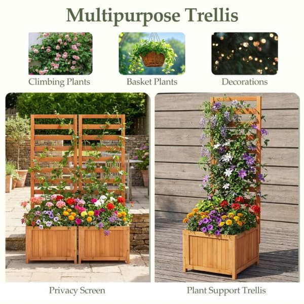 Hevet hagebed med espalier, grantre