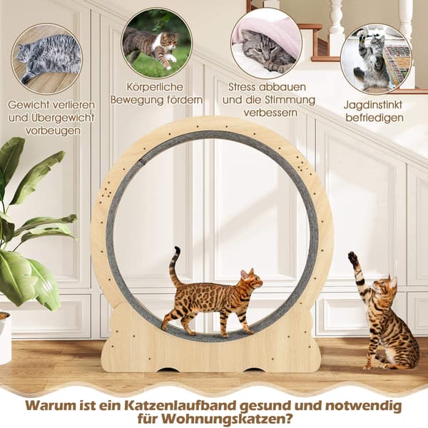 Kattträningshjul med lås, 101 cm, tyst design