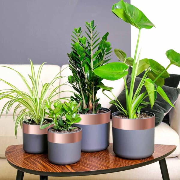 vidaXL Koppartejp 6 pcs Koppar 2000 x 7 cm Koppar