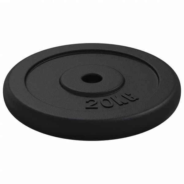 vidaXL Vektskive 40 kg støpejern