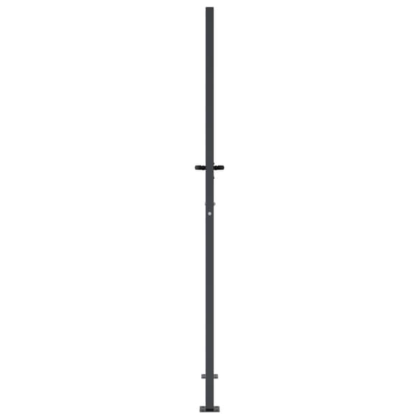 vidaXL Trädgårdsgrind antracit 100x175 cm stål gräsdesign