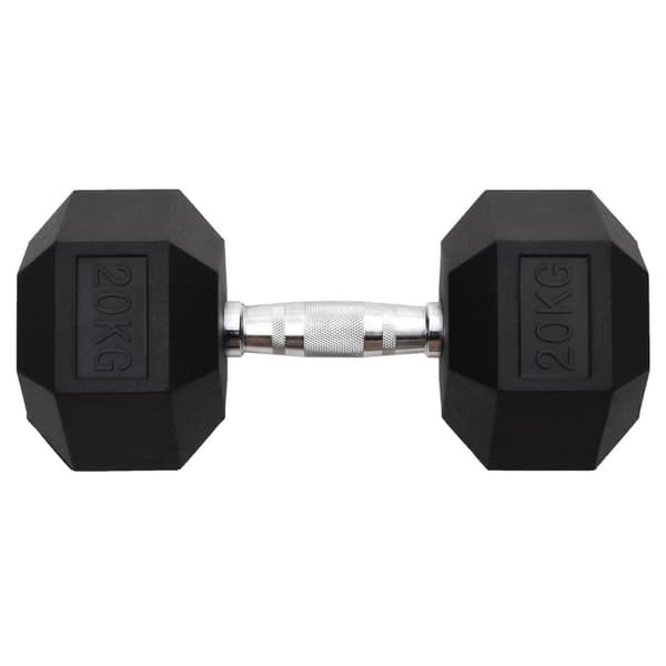 vidaXL Hantel 20 kg gjutjärn