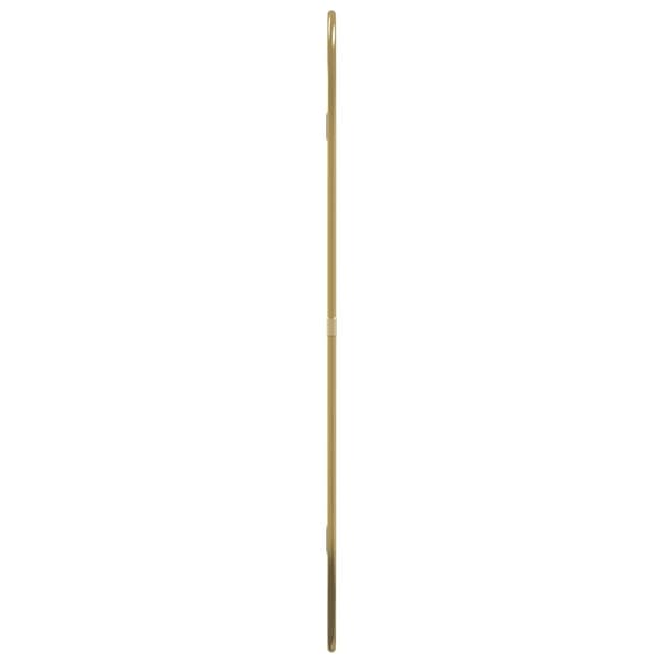 vidaXL Väggspegel guld 60x40 cm