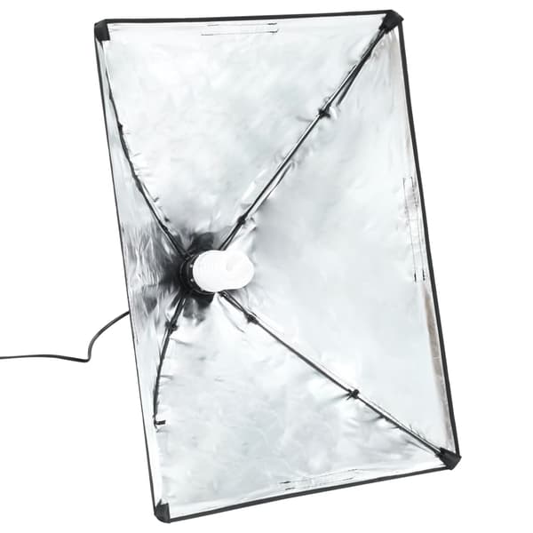 vidaXL Profesjonelle studiolys 2 stk 40x60 cm stål svart