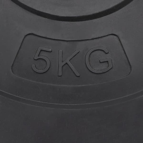 vidaXL Vektskiver 6 stk 30 kg sement