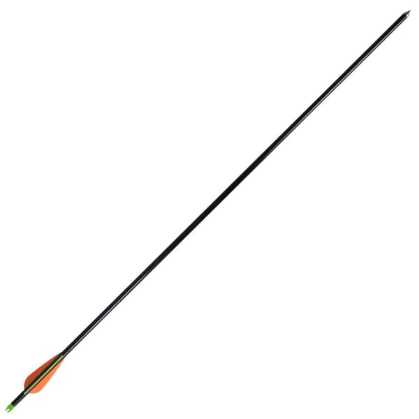 vidaXL Compoundbåge med tillbehör och pilar i glasfiber