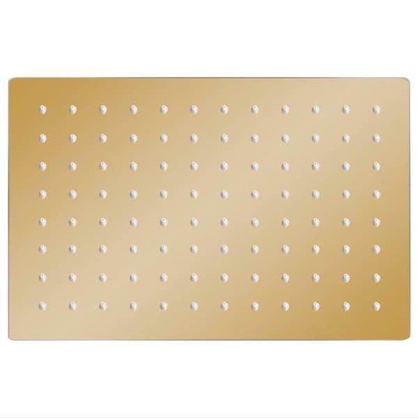 vidaXL Regndusjhode rustfritt stål 30x20 cm firkantet gull