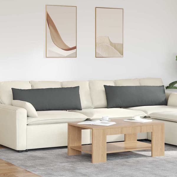vidaXL Soffkuddar 2 st Mörkgrå 120 x 40 cm tyg