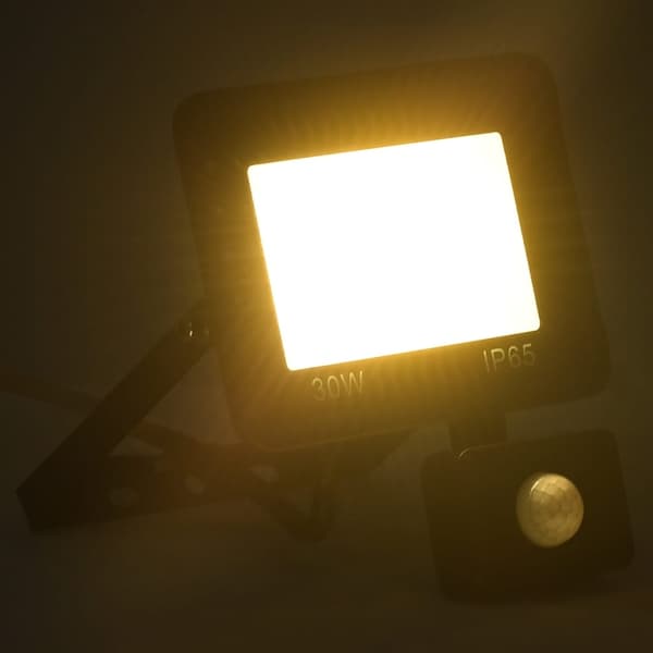 vidaXL Strålkastare med sensor 30 W LED varmvit