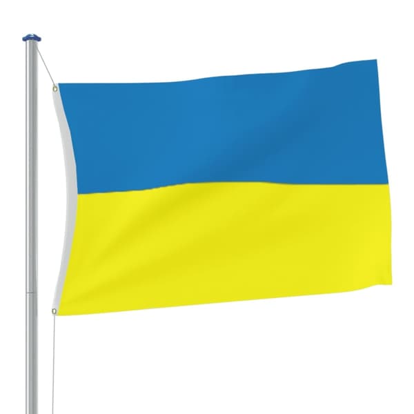 vidaXL Ukraina flagg med messingmaljer 90x150 cm