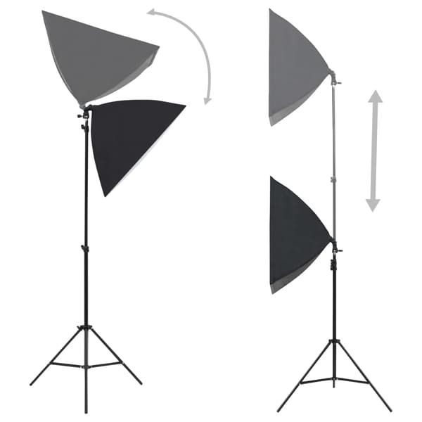 vidaXL Professionella studiolampor 2 st 40x60 cm stål svart
