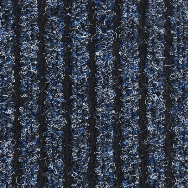 vidaXL Dörrmatta blårandig 80x120 cm