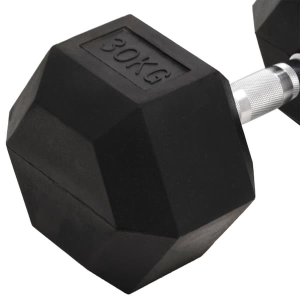 vidaXL Hantel 30 kg gjutjärn