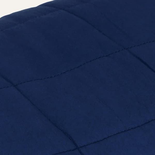 vidaXL Vektdyne blå 200x200 cm 9 kg stoff