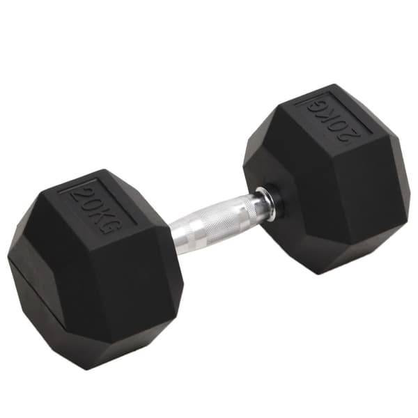 vidaXL Hantel 20 kg gjutjärn