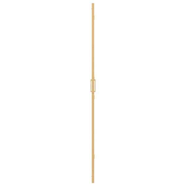 vidaXL Walk-In duschvägg Guld 100 x 6,5 x 190 cm