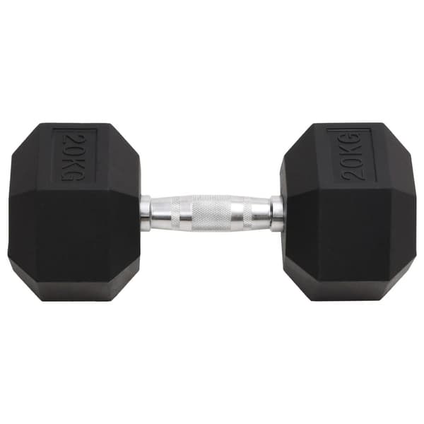 vidaXL Hantel 20 kg gjutjärn