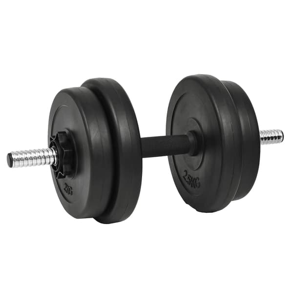 vidaXL Manual med skiver 40 kg