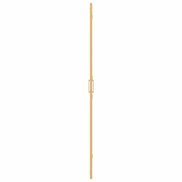 vidaXL Walk-In duschvägg Guld 70 x 6,5 x 190 cm