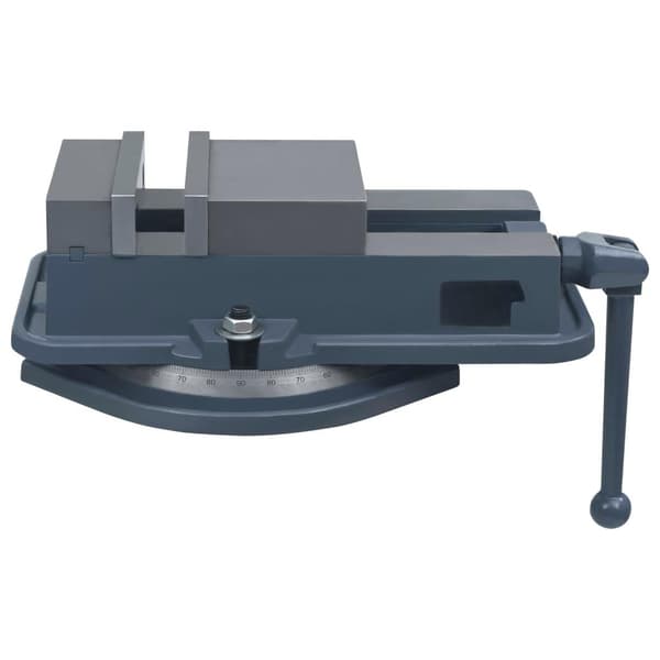vidaXL Roterbart skruvstycke gjutjärn 160 mm