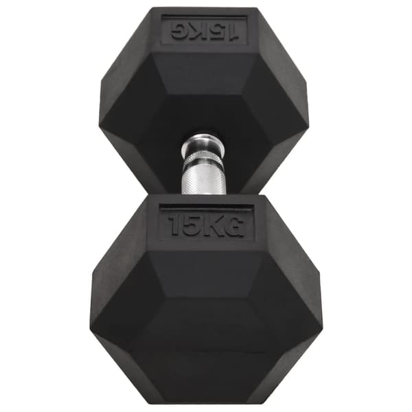 vidaXL Hantlar 2 st 30 kg gjutjärn