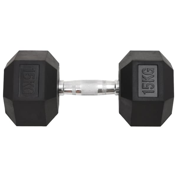 vidaXL Hantlar 2 st 30 kg gjutjärn