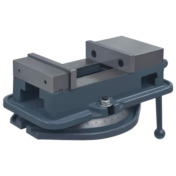 vidaXL Roterbart skruvstycke gjutjärn 160 mm
