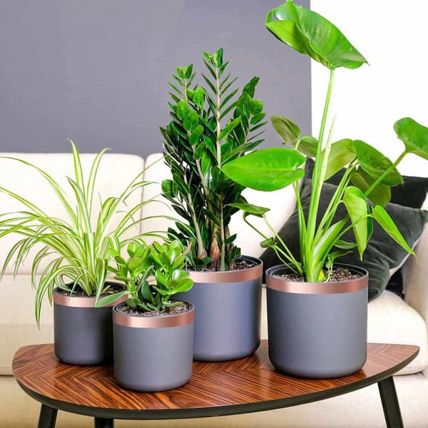 vidaXL Koppartejp 6 pcs Koppar 2000 x 3 cm Koppar