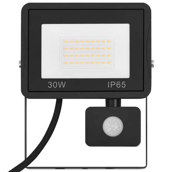 vidaXL Strålkastare med sensor 30 W LED varmvit