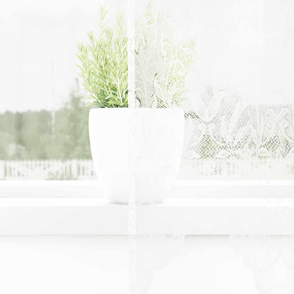 vidaXL Blondegardin med gardiner Hvit 150x120cm Polyester