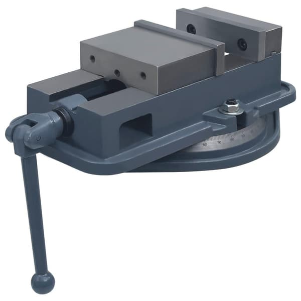 vidaXL Roterbart skruvstycke gjutjärn 160 mm