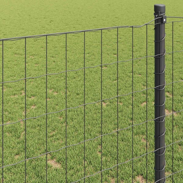 vidaXL Euro gjerde Grå 1,2 x 10 m PVC-belagt jern