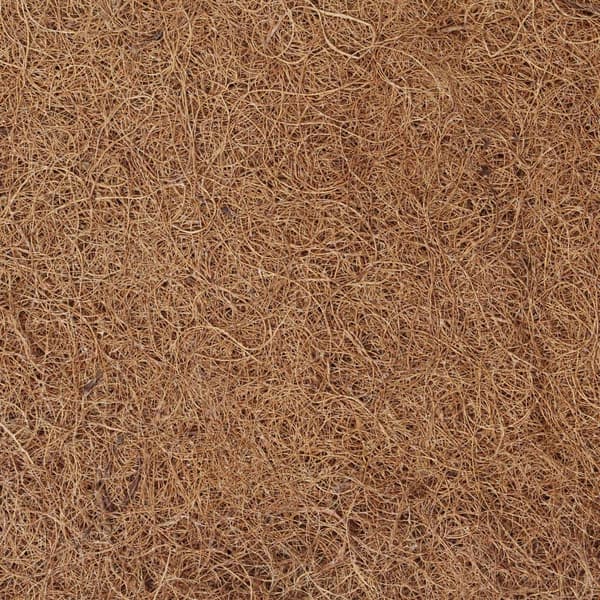 vidaXL Bäddmadrass 100x200 cm kokosfiber