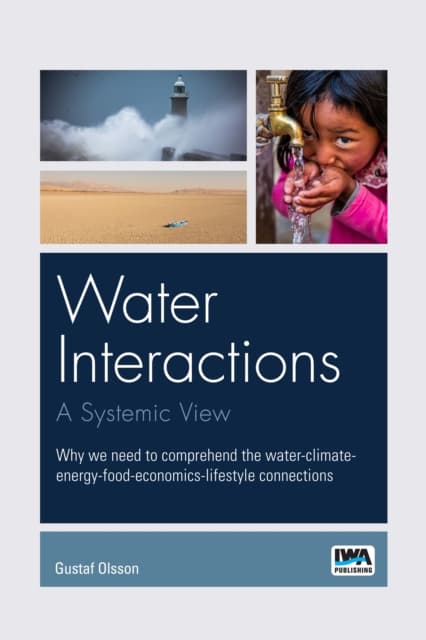 Water interactions: A systemic view