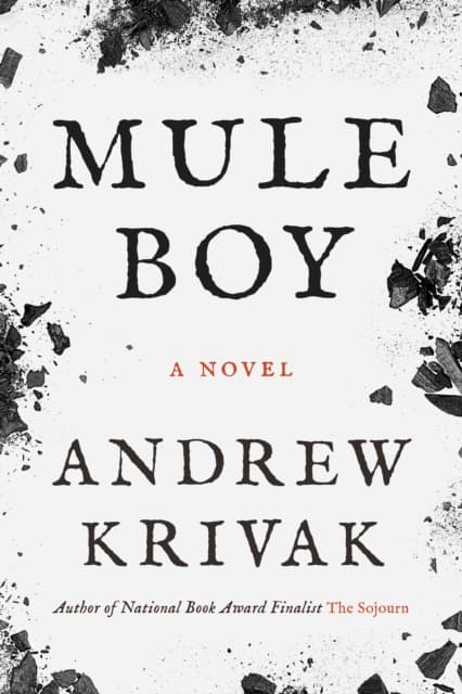 Mule Boy