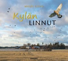 Kylän linnut