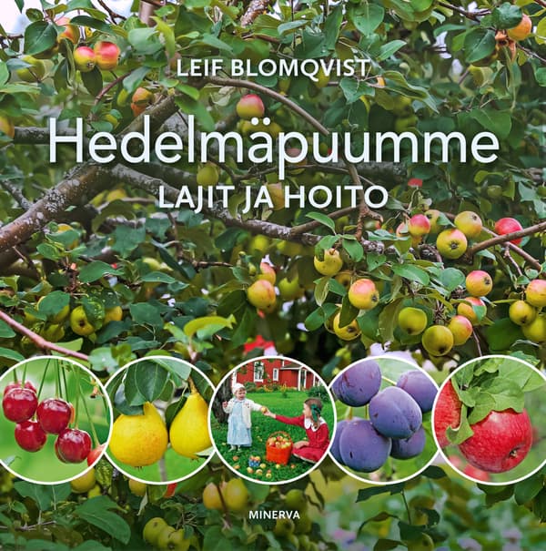 Hedelmäpuumme