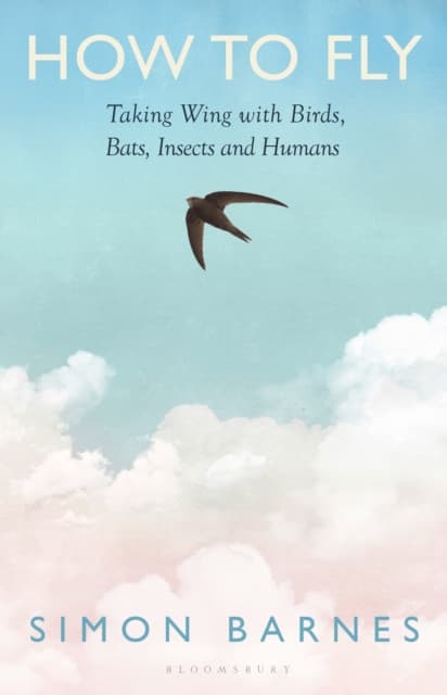 How to Fly