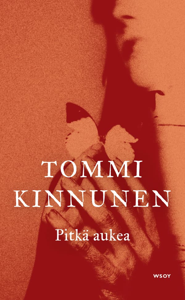 Pitkä aukea