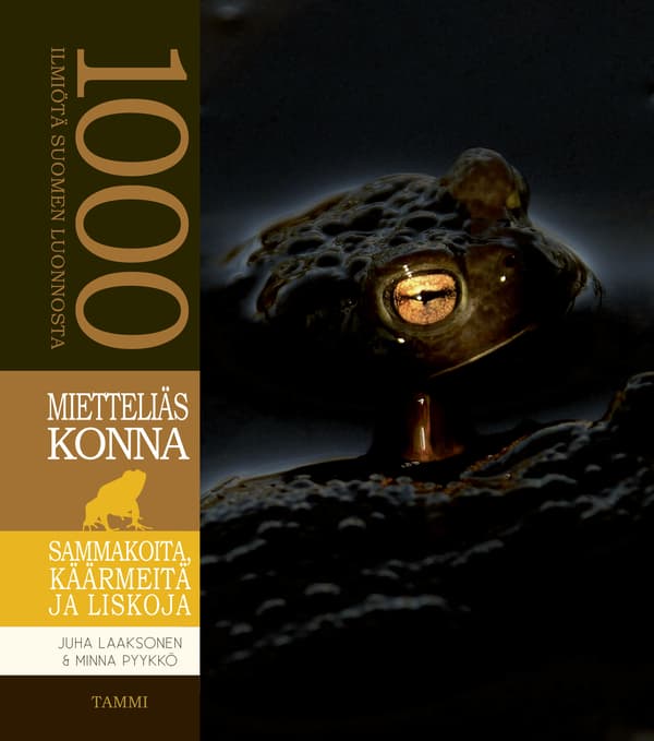 Mietteliäs konna