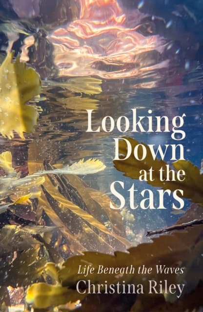 Looking Down at the Stars
