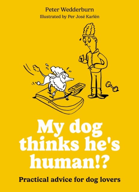 My dog thinks he's human!?