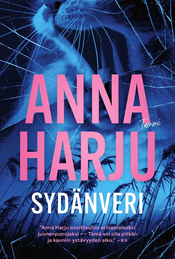 Sydänveri
