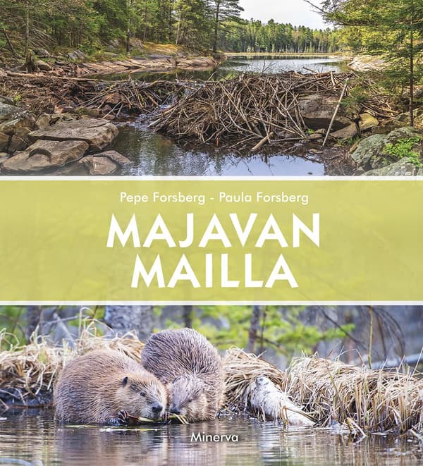 Majavan mailla