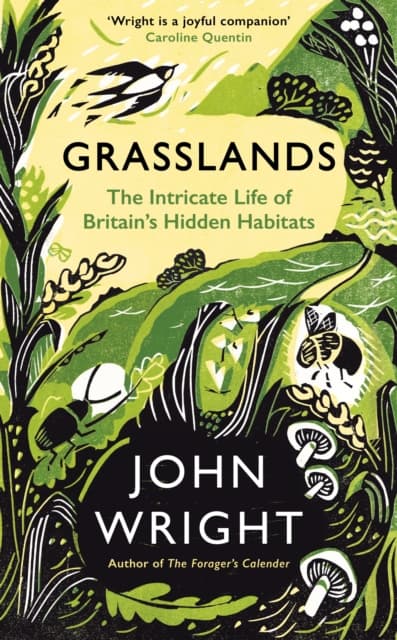 GRASSLANDS