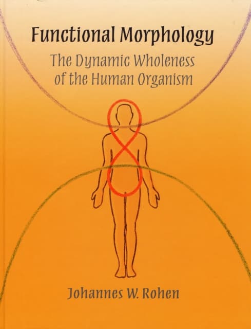 Functional Morphology