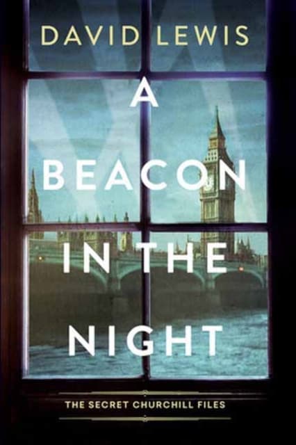 A Beacon in the Night