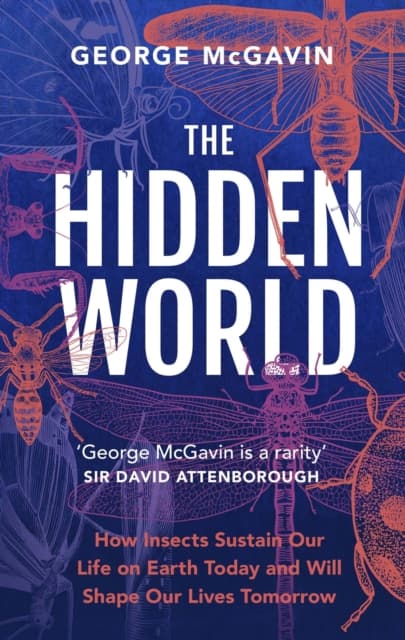 The Hidden World