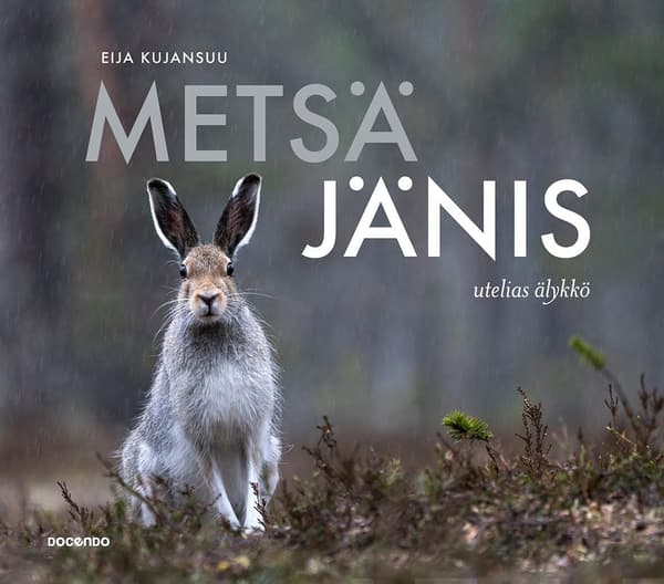 Metsäjänis